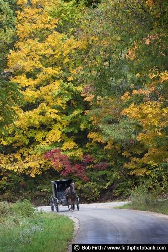 Amish,buggy,fall,country,road,WI,Wisconsin,carriage,horse,workhorse,fall color,horse drawn carriage