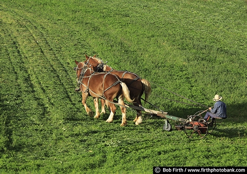 agricultural scene;agriculture;Amish;country;field;fieldwork;man;team of horses;teamwork;wagon;Wisconsin;WI;workhorse;farmers