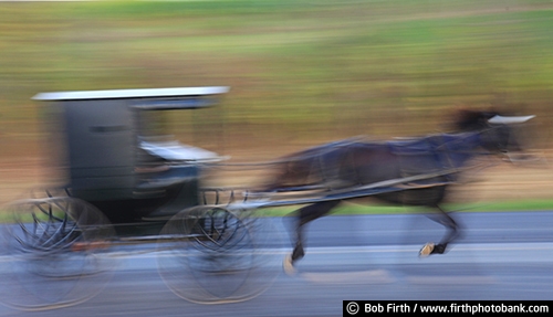 action;agriculture;Amish;blue sky;blur;buggy;carriage;horse drawn carriage;profile;road;summer;WI;Wisconsin