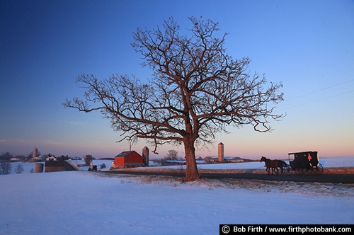 Wisconsin;winter trees;winter;WI;twilight;tree;sunset;snow;silo;road;red barn;horse drawn carriage;horse;homestead;farm;evening sky;dusk;country;carriage;buggy;barn;agriculture;agricultural scene;Amish