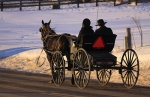 Amish