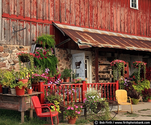 Barns;agriculture;country;farm;farm buildings;Minnesota;MN;Carver County MN;Waconia MN;plants;plants for sale;potted plants;red barn;summer;rural