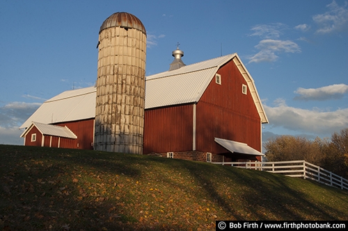 Barns;agriculture;country;farm;farm buildings;Minnesota;MN;Carver County MN;Waconia MN;red barn;rural;fall;autumn;silo;wood barn;white fence;fence;fencing;cupola;cupola on barn