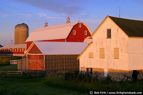 Barns;agriculture;country;farm;farm buildings;Minnesota;MN;Carver County MN;Chaska MN;red barn;white barn;silo;fence;fencing;silos;summer;rural;cupola;cupola on barn