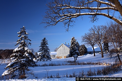 rural;country;agriculture;agricultural;farm buildings;trees;barn;farm;Minnesota;snow;winter;broken windmill;Carver County;MN