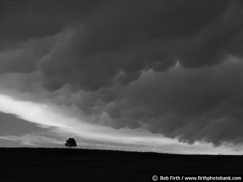 black and white photo;storm clouds;approaching storm;atmospheric instability;ominous clouds;heavy dark rain cloud;Weather;summer storm;threatening clouds;dark sky;dramatic sky;lone tree;single tree;South Dakota;SD