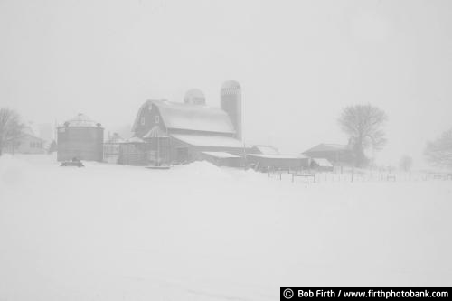 black and white photo;agriculture;country;farming;MN;Minnesota;rural;farm building;Carver County;barn;fog;foggy;Winter;cold weather;low visibility;snow;snow storm;snowy;winter storm