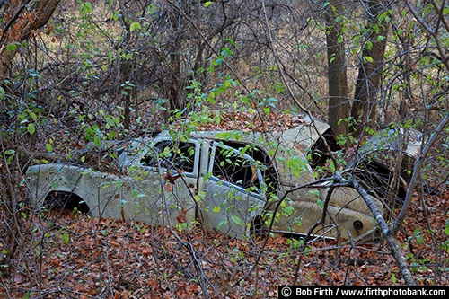 man cave art;man cave;man cave decor;man cave photos;vintage;vehicle;weathered;moldering;weathered car;moldering car;rust;patina;rusty;rusty car;photos of old cars;old car in woods;rural;Plymouth;weathering Plymouth car;rusting Plymouth car