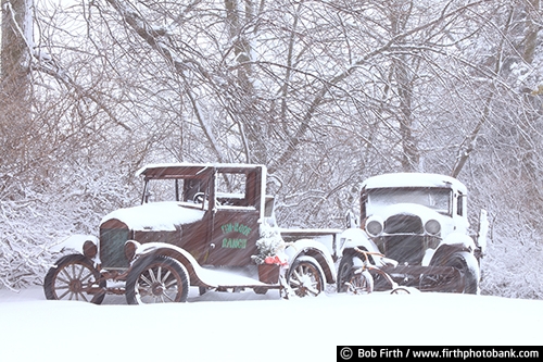 man cave art;man cave;man cave decor;man cave photos;vintage;vehicle;weathered;moldering;weathered truck;moldering truck;rust;restored truck;photos of old trucks;old truck;automobile;Minnesota;MN;collectible;collectible trucks;Collector Truck;rural;old trucks in snow;snow covered vintage automobiles;snow covered trucks