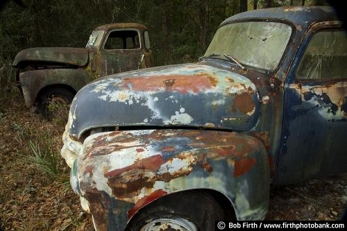 automobile;classic cars;collectible trucks;Collector Truck;man cave art;moldering;old trucks in woods;photos of old trucks;patina;rusty truck;rust;moldering truck;weathered truck;vehicle;old pickup truck;vintage pickup truck;vintage truck
