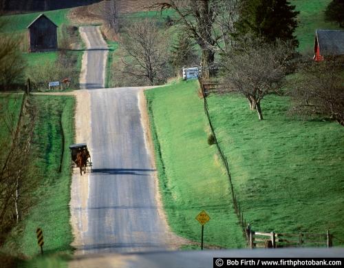Amish;Amish buggy;Amish carriage;Harmony Minnesota;south eastern Minnesota;horse;horse drawn carriage;hills;hilly road;MN;rural;country;spring;rural landscape
