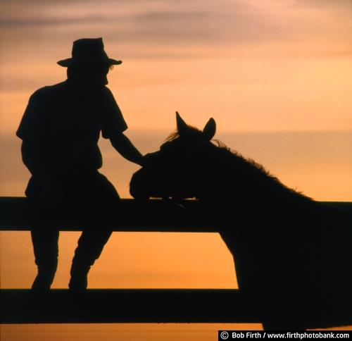 Bob Firth;country;cowboy petting horse;cowboys;fences;horse;man petting horse;photo;silhouette;sunset;Minnesota;MN;companionship;friends;friendship;animal;farm animal