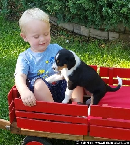 child;best friend;companion;friends;red wagon;toddler;kid;animal;pets;pet;dog;active;canine;puppy;adorable;playful;outdoors;outside