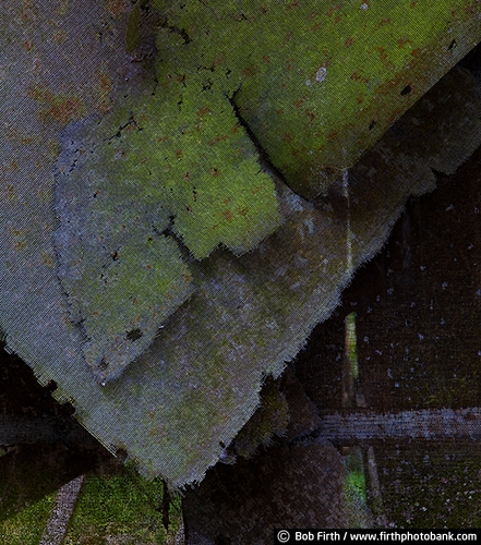 abstracts;Cedar Key FL;close up;detail;FL;moldering;moss;mossy;old;screen;weathered