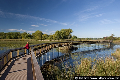 boardwalk;footbridge;contemplating;person;destination;docks;fall;headwaters of Minnehaha Creek;Lake Minnetonka;Minnesota;MN;peaceful;tourism;walking;water;woman;Minnetonka