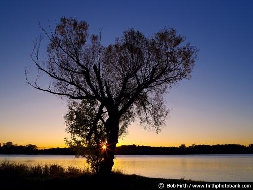 Northern Minnesota;Cedar Lake;lone tree;Minnesota;MN;silhouette;single tree;trees;up north;water;colorful sky;morning;sunrise