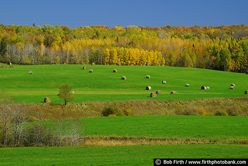 Northern Minnesota;autumn;Clearwater County MN;fall;fall color;farm field;Minnesota;MN;northwoods;rolling hills;trees;up north;woodlands;woods;haybales