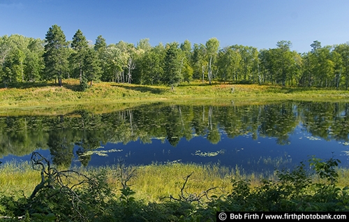Itasca State Park;up north;destination;lake;Minnesota;MN;summer;trees;Mississippi River Headwaters