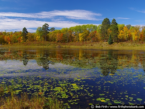 Itasca State Park;Minnesota State Park;Minnesota;MN;trees;destination;explore;fall;fall color;fall trees;lily pads