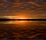 Reflections