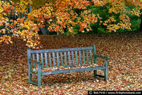 University of Minnesota Landscape Arboretum;Chaska Minnesota;autumn;fall foliage;fall color;fall leaves;bench