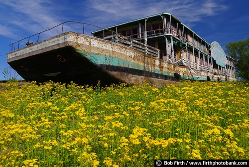 old Mississippi River Showboat;entertainment;U.S. National Historic Landmark;threatened Historical Landmark;salvaged;moored;Kampsville IL;Illinois River;damaged boat;spring;Illinois;Goldenrod Showboat;yellow flowers