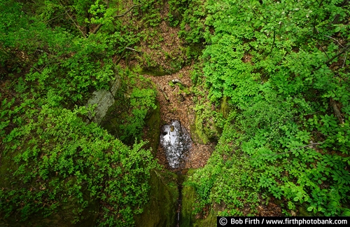 water;Wisconsin;Perrot State Park;Trempealeau, WI;spring;rocks;overview;Mississippi River Valley;Great River Road;green ground cover;green plants;ravine
