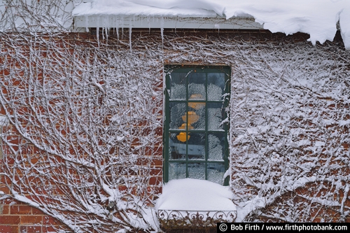 Wisconsin;winter;window;vines;snow;Nelson WI;Mississippi River town;Great River Road;building