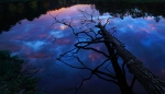 Reflections