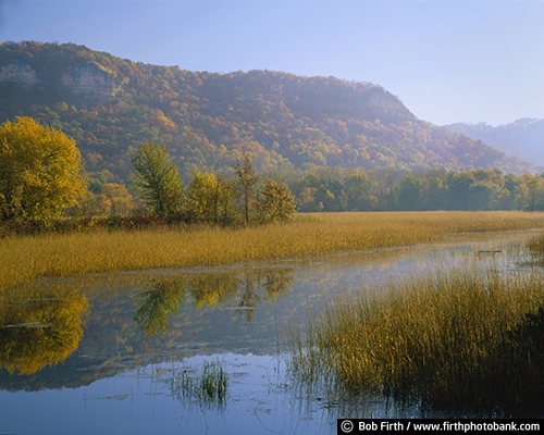 bluffs;backwater;Minnesota;MN;peaceful;silhouette;trees;WI;Wisconsin;autumn;fall color;hills;reflection;scenic
