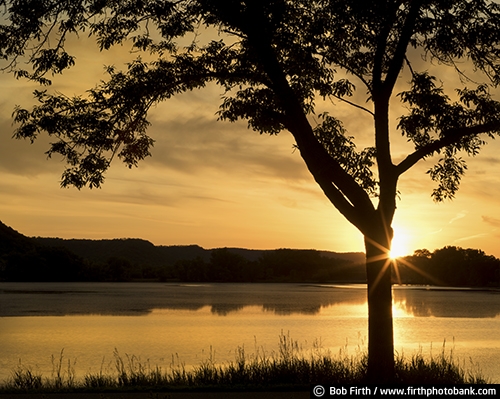 bluffs;colorful sky;dawn;hills;Minnesota;Mississippi River;MN;peaceful;reflection;shoreline;silhouette;scenic;sun;summer;sunrise;trees;water;WI;Wisconsin;orange;sunburst