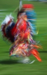 Native American Indian Dance, Regalia, & Art