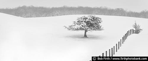 panoramic photo;Minnesota;MN;peaceful;solitude;tranquility;country;rural;single tree;snow;farm field;winter;panoramic
