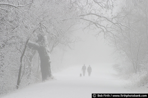 winter;walk;walking;snow covered trees;peaceful;Minnesota;friendship;friends;couple;dog;companion;Carver County;blizzard;companionship;Carver Park;hiking;oak trees;silhouettes;snow covered road;snow storm;Three Rivers Park District;trails;tranquility;Victoria Minnesota;woodland;woods