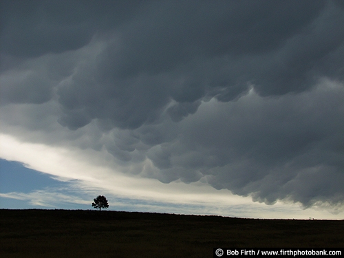 storm clouds;South Dakota;solitude;SD;ominous;lone tree;high plains;Great Plains;grasslands