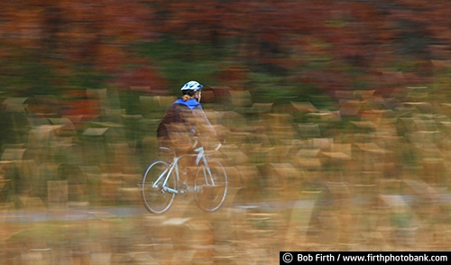 bicycling;autumn;bicycle touring;bike path;bike trail;cycling;cyclist;action photo;exercise;fall;fun pastime;Minnesota;MN;panning ;peaceful;recreation;relaxing;solitude;woman;country;road bike