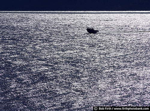 recreation;boat;boating;Lake Pepin;man;Mighty Mississippi;Minnesota;Mississippi River;MN;motor boat;silhouette;solitude;upper Mississippi River;WI;Wisconsin;transportation