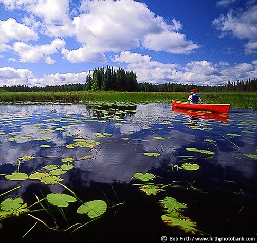 canoeing;fun pastime;lake;lily pads;MN;northern Minnesota;paddle sport;peaceful;recreational;red canoe;solitude;summer;water;water sport;white puffy clouds;male;teen;teenager