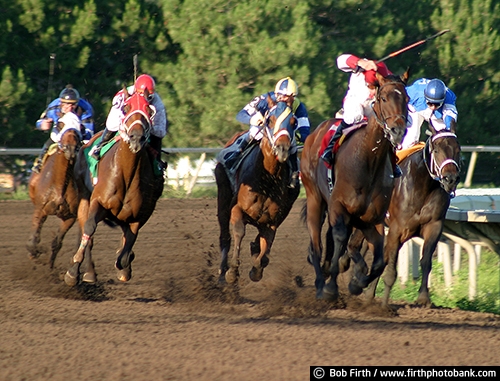 Canterbury Park;horses;jockey;Minnesota;race;race track;Shakopee MN;speed;gambling;competition;betting;action