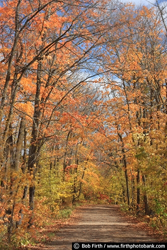 country;rural;dirt road;fall color;fall leaves;autumn;woods;woodlands
