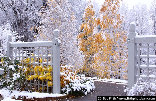 Minnesota Landscape Arboretum;University of Minnesota;Twin Cities;walkway;snow covered trees;structures;plants;pathway;lattice;fall leaves with snow;Chaska;MN