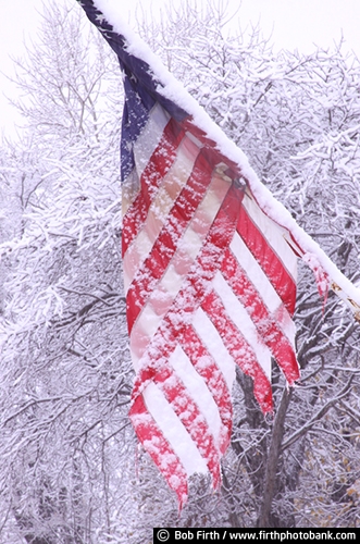 American flag;Americana;country;rural;snow;winter;snow storm;snow covered trees