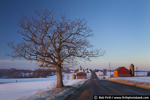 agricultural scene;backroads;Clinton WI;country;farm scene;farm buildings;winter trees;bare tree;road;agriculture
