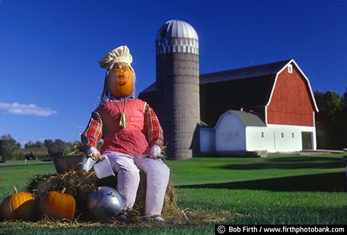 agricultural scene;blue sky;country;fall;red barn;scarecrow;Door County Wisconsin;agriculture;farm buildings;WI;pumpkins