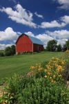 Country