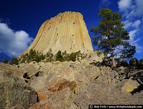 Devil's Tower;geological landmark;National Monument;rock formation;sacred;volcano core;Wyoming;Black Hills;destination;prairie;tourism;WY;rock;rocks;trees;rock landscape;Devils Tower;northeastern Wyoming;Crook County;Bear Lodge Mountains;Devils Tower National Monument;laccolithic butte;near Hulett and Sundance;rolling prairie